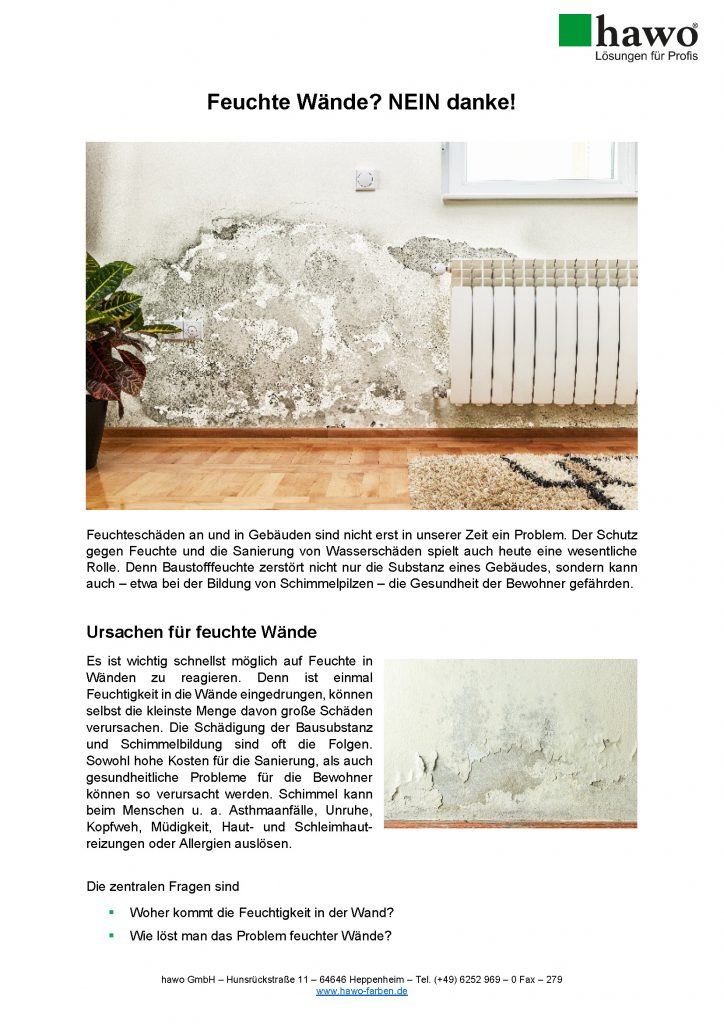 Seite1 von Pressebericht Feuchte Wände - NEIN danke