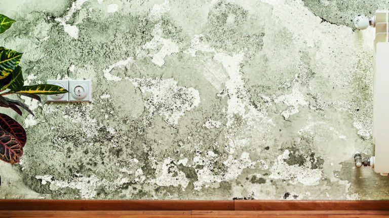Schimmel auf Innenwand neben Heizkörper